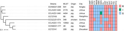 Genomic characterization of multidrug-resistance gene cfr in Escherichia coli recovered from food animals in Eastern China